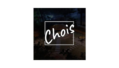 CHOIS RESTAURANT LTD